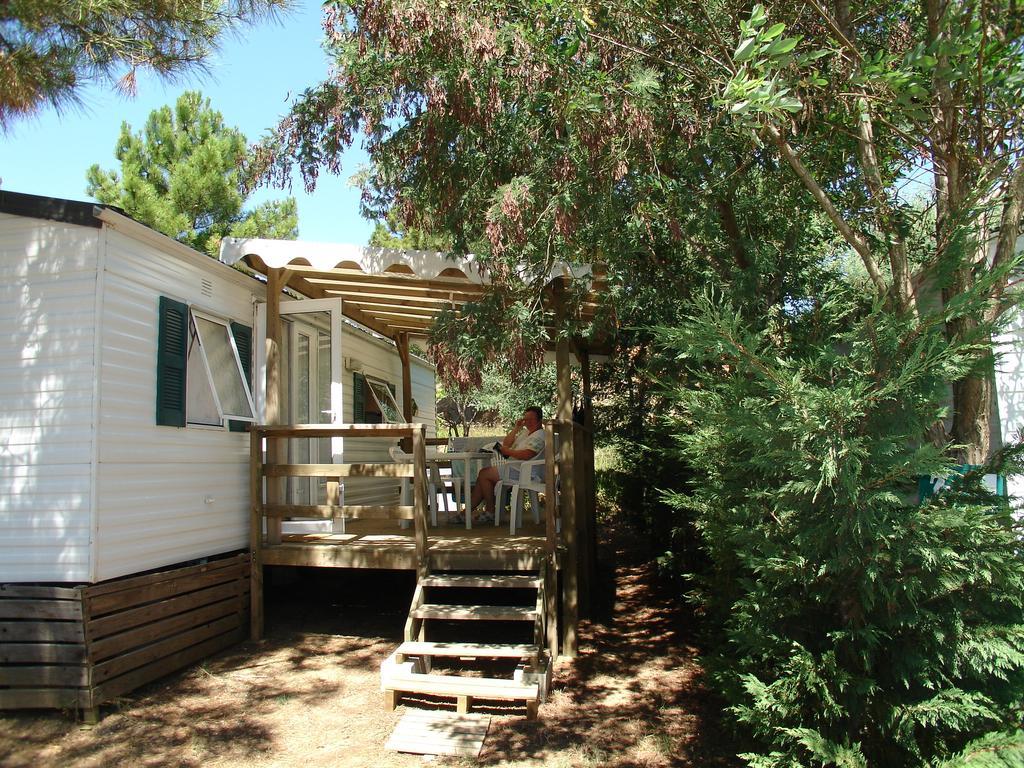Camping Lou Cabasson 博尔马斯·莱斯·米默萨斯 外观 照片